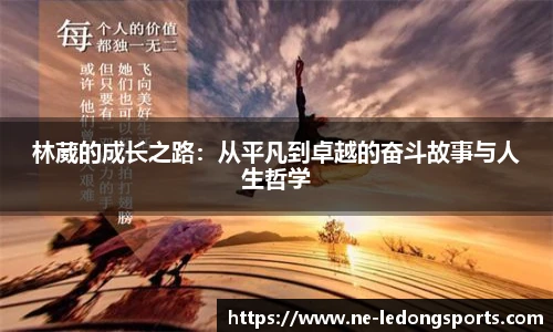 乐动体育LDSPORTS官方网