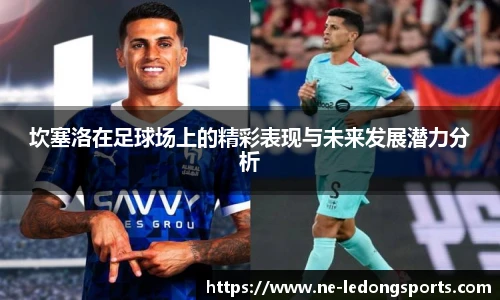 坎塞洛在足球场上的精彩表现与未来发展潜力分析