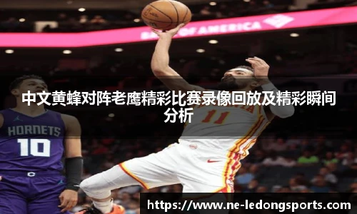 中文黄蜂对阵老鹰精彩比赛录像回放及精彩瞬间分析